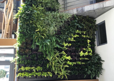 MC2 Design - Custom Design: Custom living wall system with grid design in hand picked plant selections - painting with plants