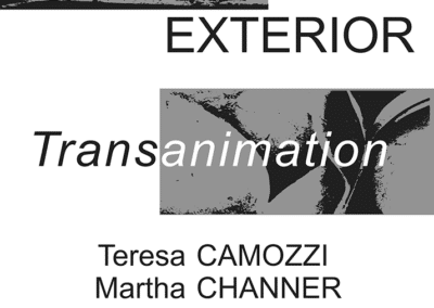 MC2 Design Exhibition Design: Transanimation exhibit